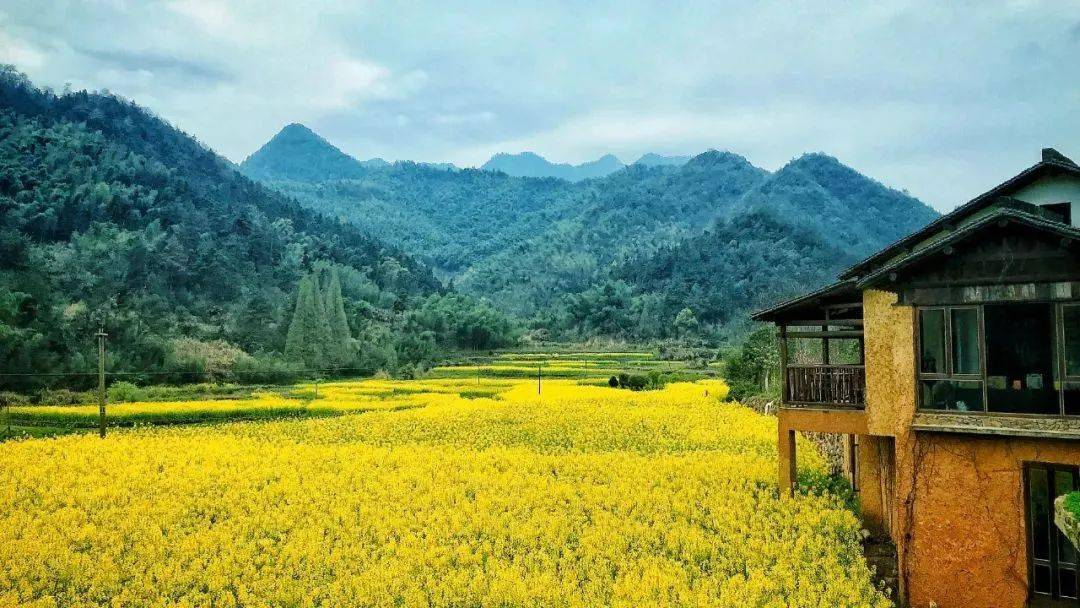 杭州1.5h车程，藏在桐庐一座陶渊明笔下桃花源精品民宿丨厚院村舍 