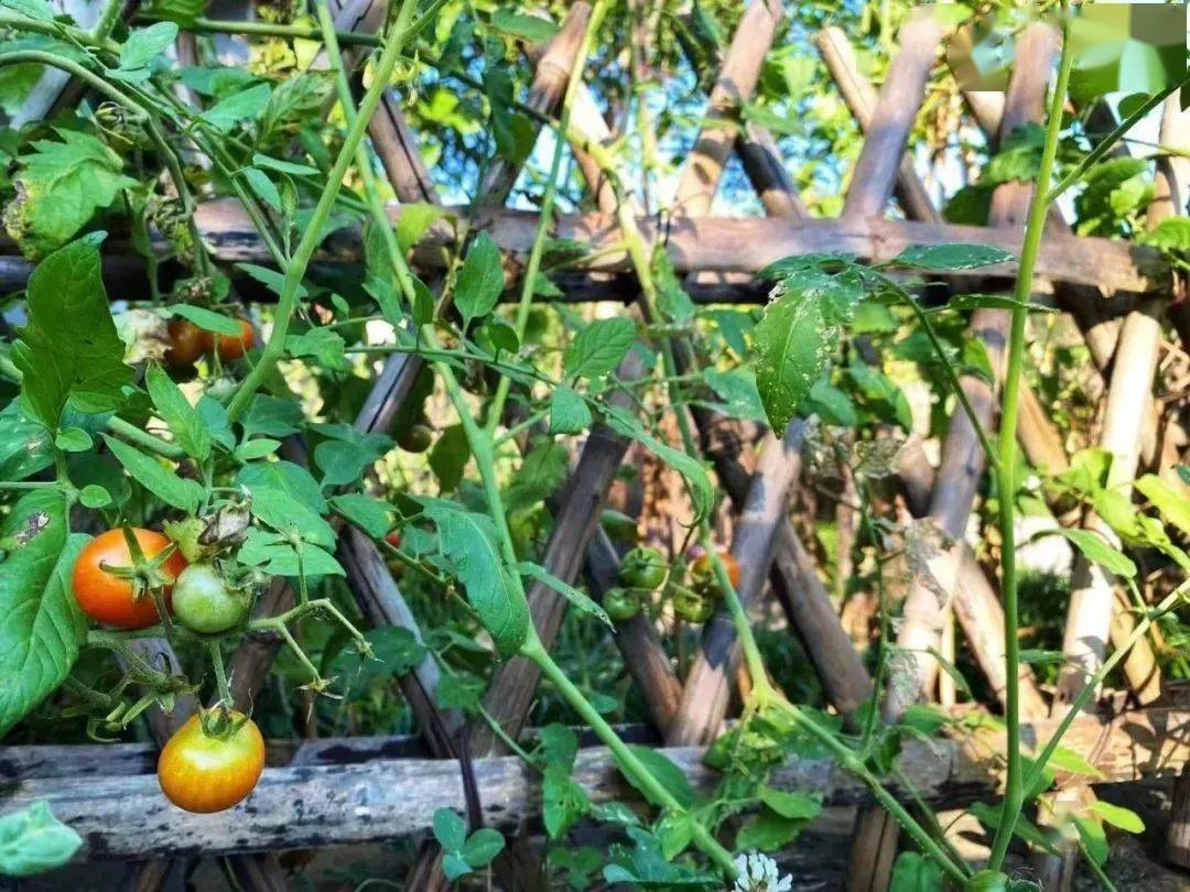 m0qd5klu.png m0qd5klu.png