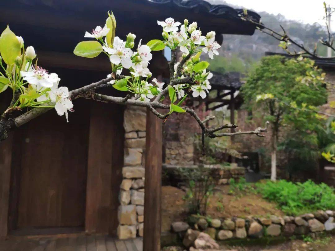 m0qd7t2u.png m0qd7t2u.png