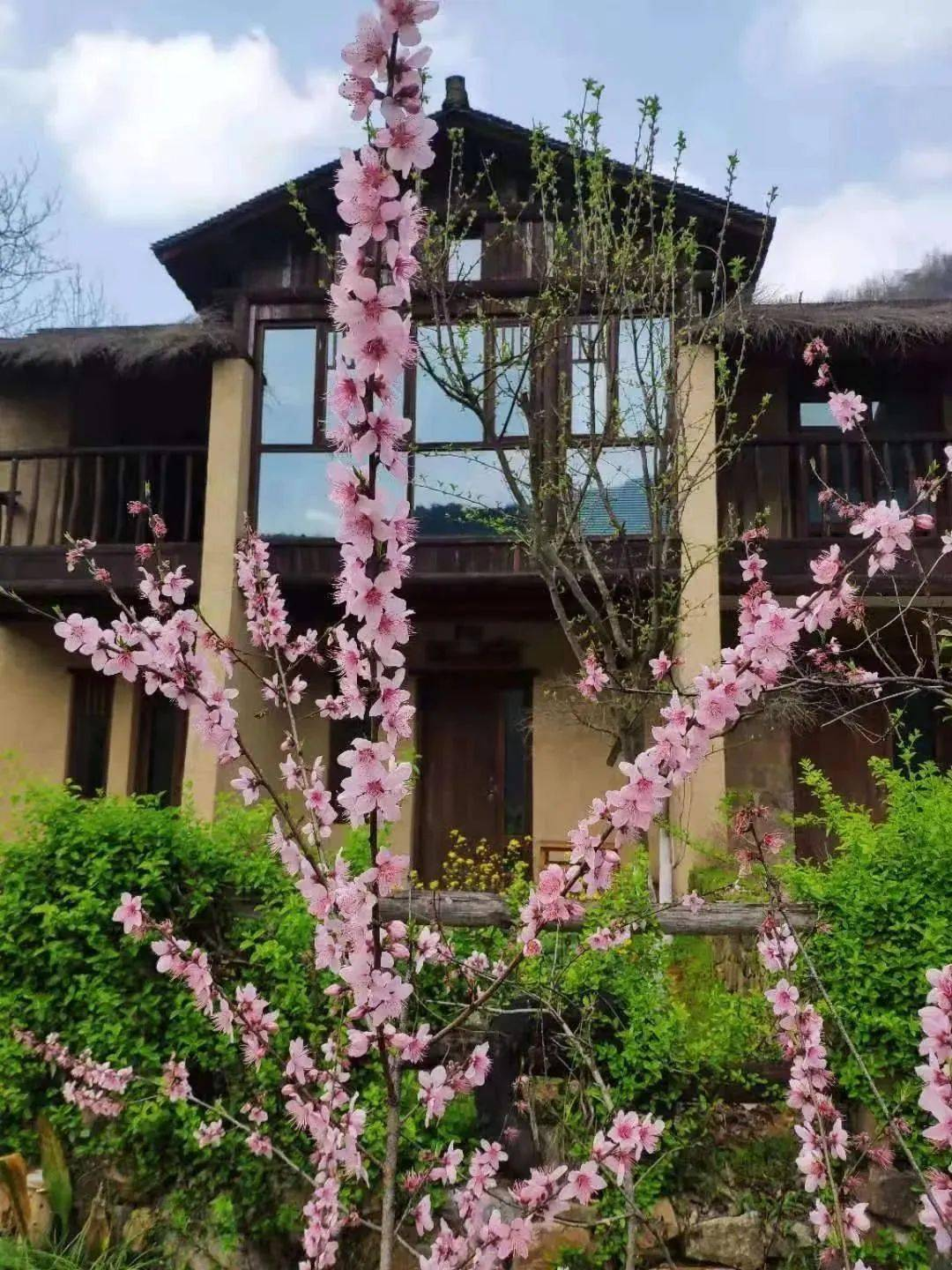 m0qd5c9n.png m0qd5c9n.png