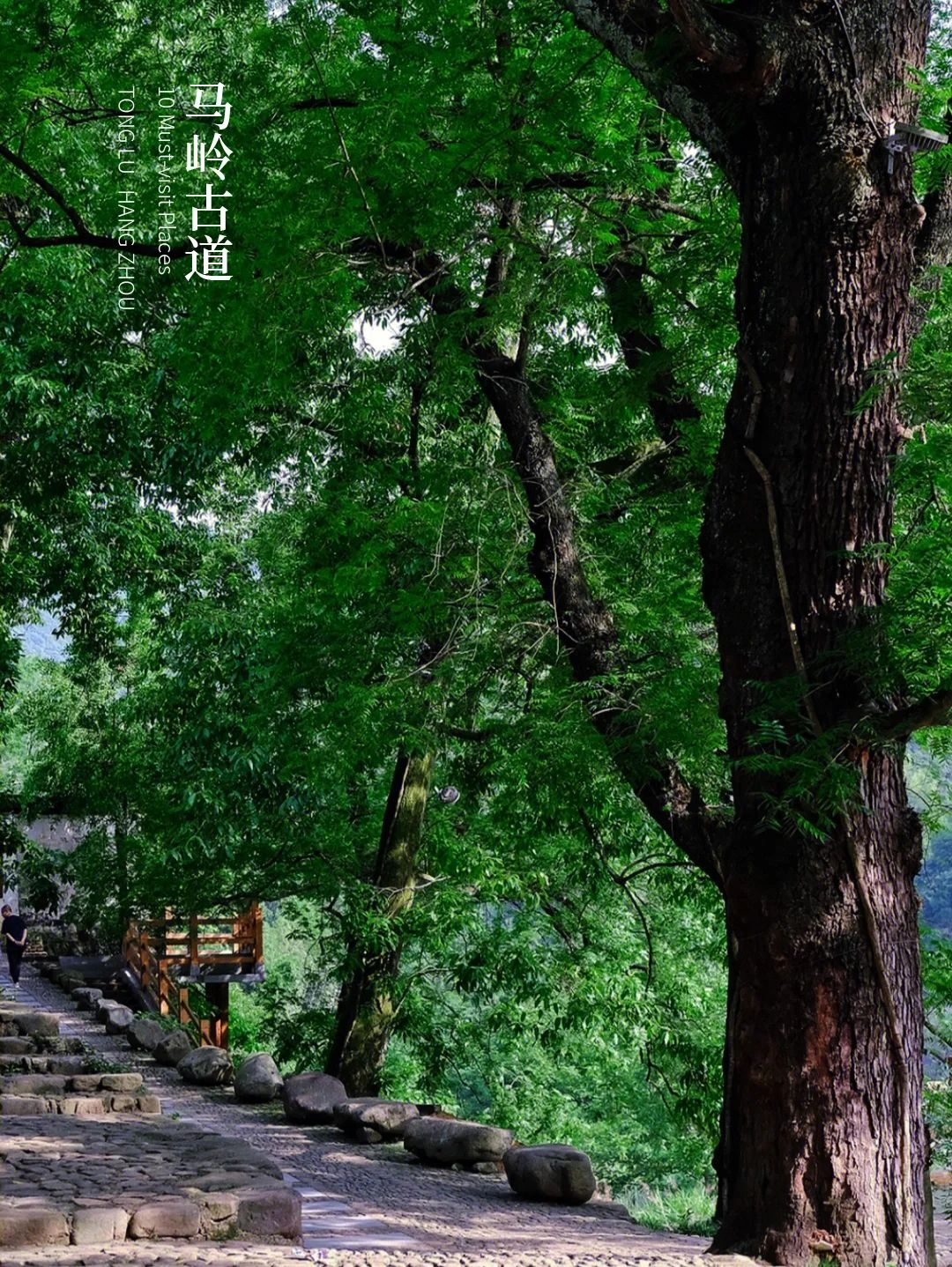 mhncdjae.png mhncdjae.png