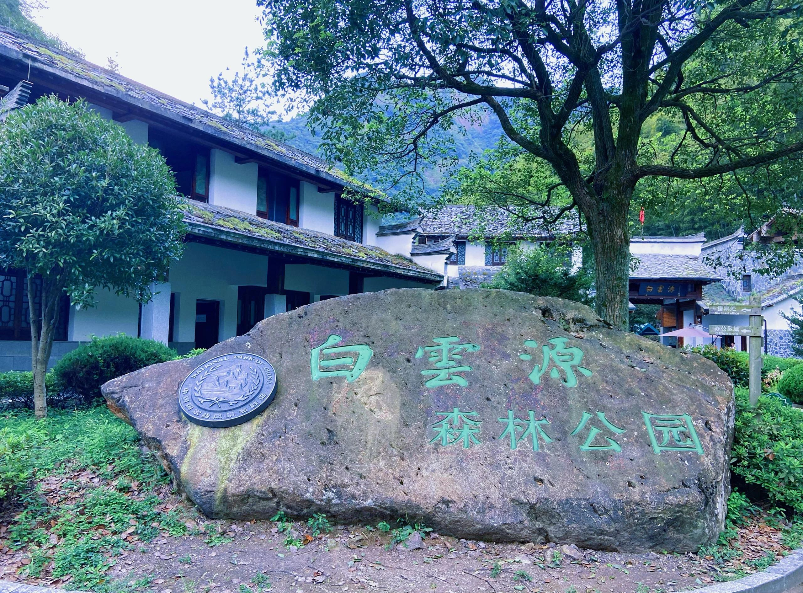 mhnchi05.png mhnchi05.png