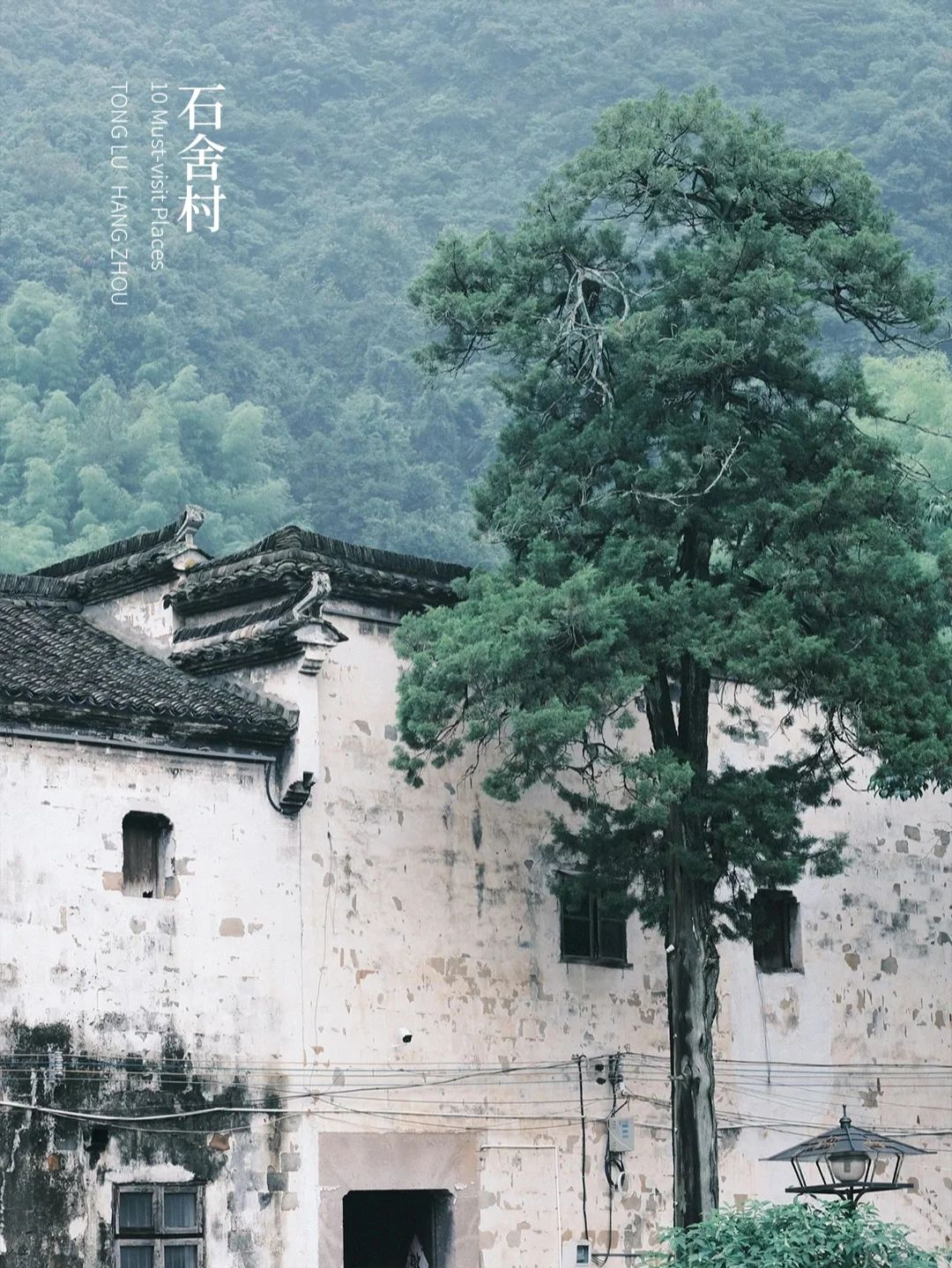 mhncco9e.png mhncco9e.png