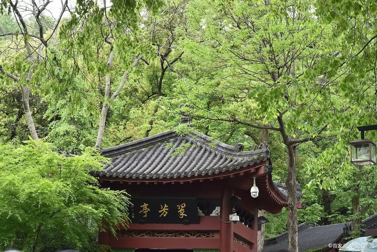 mhh56gc3.png mhh56gc3.png